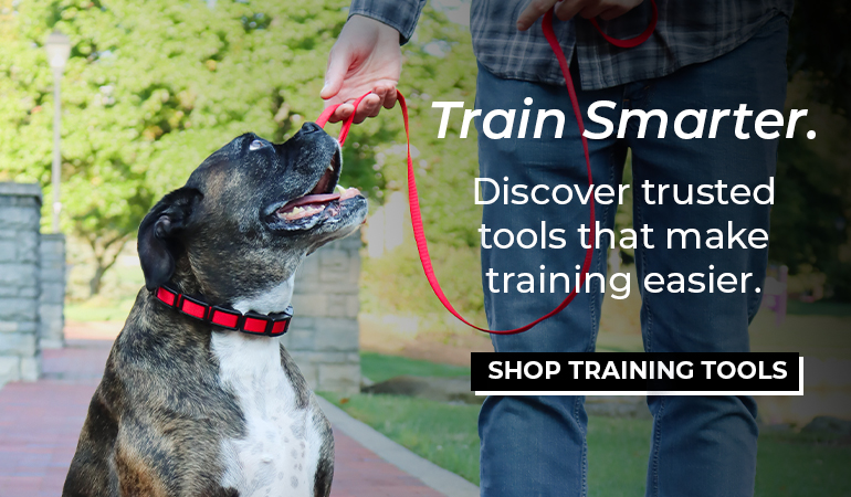 Person training a dog outdoors in a park, with the dog sitting attentively and receiving a treat while wearing a red Natural Control training collar and Loops 2 leash. Text on image reads: “Train Smarter. Discover trusted tools that make training easier. SHOP TRAINING SOLUTIONS.