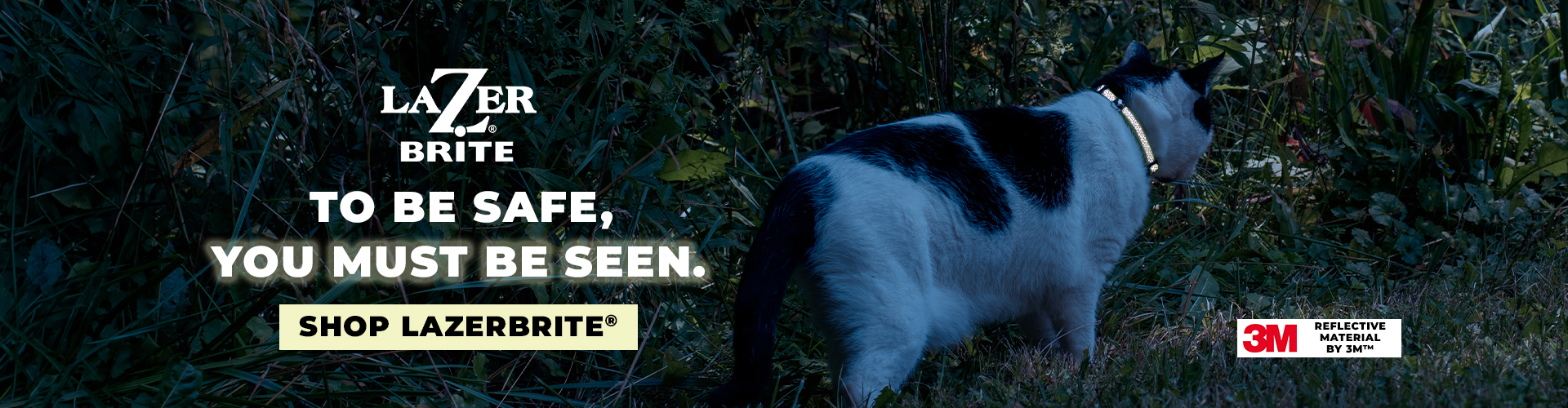 Black-and-white cat wearing a reflective collar walks through dense grass and foliage outdoors. Overlay text reads: “Lazer Brite. To be safe, you must be seen.” A button says “Shop LazerBrite®,” and a badge indicates “3M Reflective Material.”