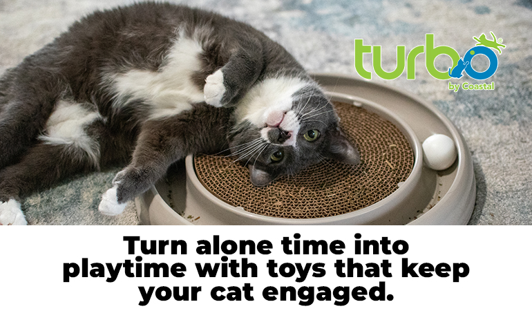 Promotional banner showing a gray and white cat lying on its back on a round cardboard scratcher toy. Overlay text reads “Turn alone time into playtime with toys that keep your cat engaged.” with a button labeled “Shop Turbo.”