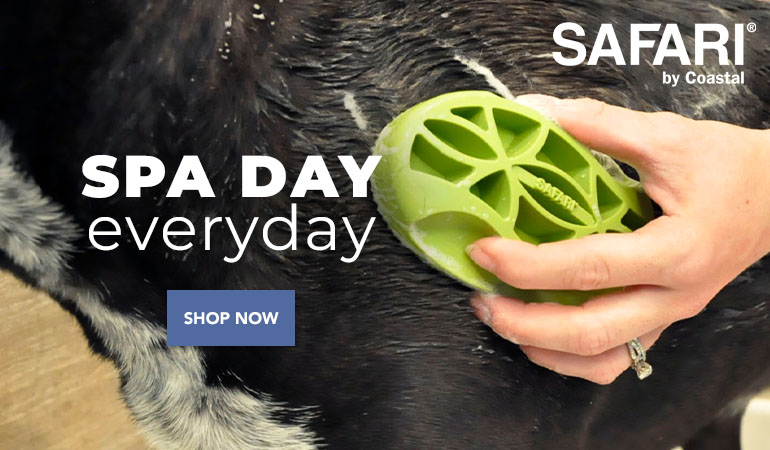 Promotional image showing a hand using a green grooming brush on a dog’s coat, with text reading ‘SPA DAY everyday — SAFARI by Coastal’ and a ‘Shop Now’ button.