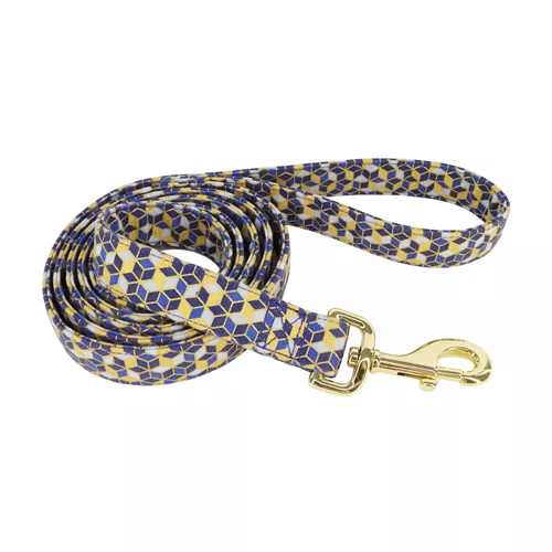 Accent Metallic Dog Leash Product image