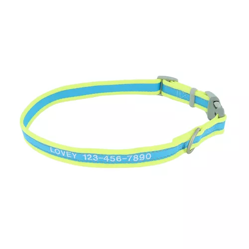 Pro Reflective Adjustable Dog Collar - Personalized Product image