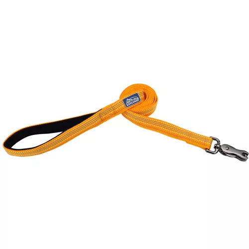 K9 Explorer® Brights Reflective Dog Leash Product image