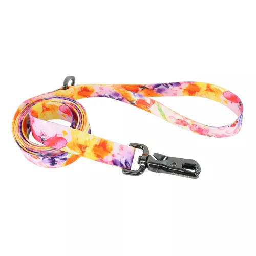 Inspire Fashion Dog Leash Product image