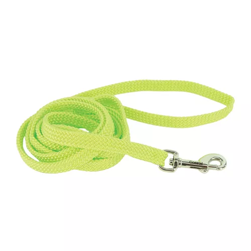 Sunburst® Dog Leash Product image