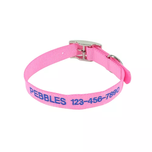 Coastal® Single-Ply Dog Collar - Personalized Product image