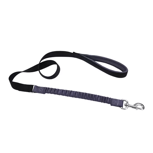 Coastal® Bungee Dog Leash Product image