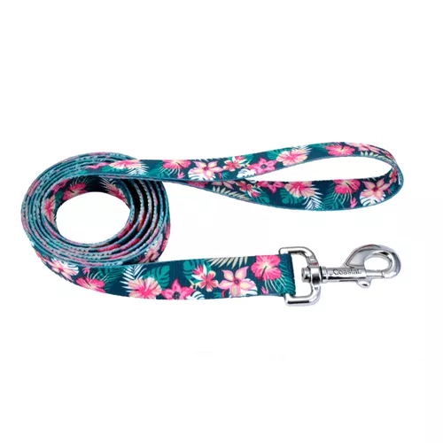 Styles Dog Leash Product image