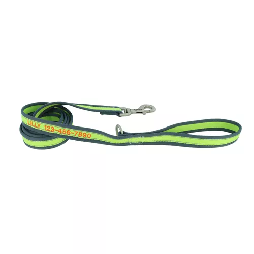 Pro Reflective Dog Leash - Personalized Product image