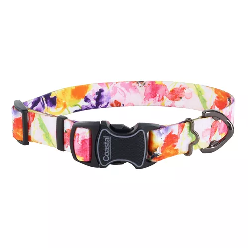 Inspire Adjustable Fashion Dog Collar Product image