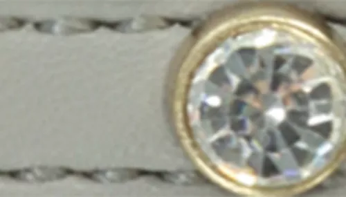 Li'l Pals® by Coastal® Posh Jeweled Leash Product image