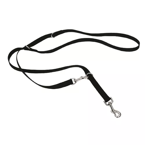 Multi-Function Dog Leash Product image